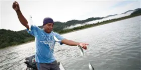 Innovadores de Chocó desarrollan aplicación móvil para comercializar pescado fresco Innovadores de Chocó desarrollan aplicación móvil para comercializar pescado fresco