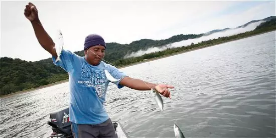 Innovadores de Chocó desarrollan aplicación móvil para comercializar pescado fresco